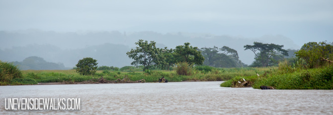 River View near Carara National Park